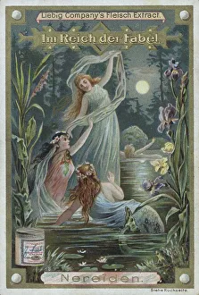 Series In the Realm of Fable, Nereids