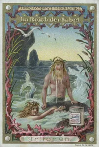 Series In the Realm of Fable, Tritons