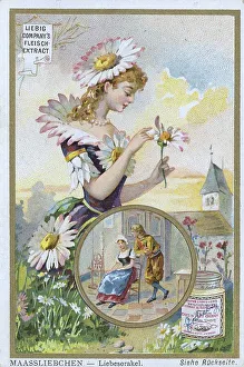Series Symbols of flowers related to persons