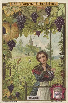 Series tropical fruits with local people