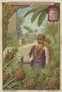 Series tropical fruits with local people