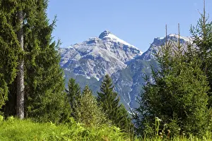 Serles mountain with forest and trees