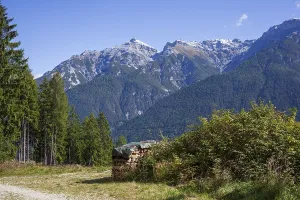 Serles mountain with forest and trees