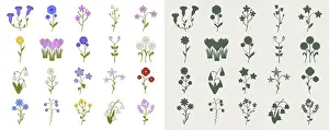 A set of wildflowers in a flat style and silhouettes