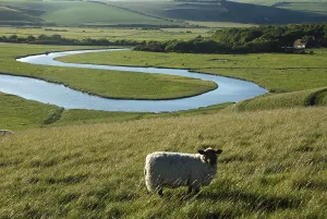 Seven Sisters Country Park, Cuckmere Haven