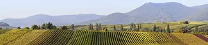 Sewn Panorama