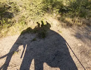 Shadow of tourists on Elephant safari to see Victoria Falls on Zambian side of the waterfall