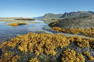 Category Mountain Landscapes Prints: Shallow coastal waters, sandy seabed with rocks