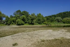 A shallow river with gravelly banks and abundant flora