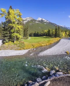 The shallow stream among green and yellow grass lawns
