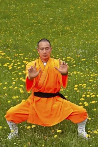 Category Buddhism Prints: Shaolin monk