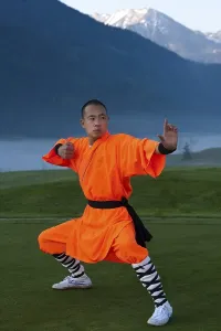 Category Buddhism Prints: Shaolin monk