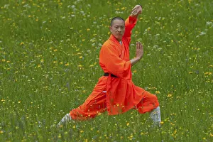 Shaolin monk
