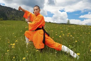 Shaolin Monk