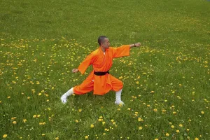 Shaolin monk