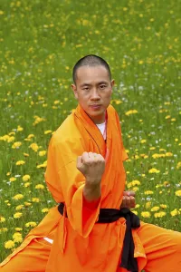 Shaolin Monk, Fighting Stance, Shaolin Monk