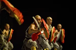 Shaolin monks during a show on the 22nd of March 2009 in Berlin