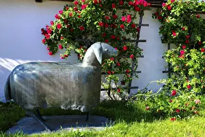 Sheep from Heinrich Kirchner, in front of St