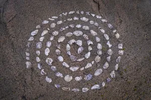 Shell mandala, circle made of shells on a granite rock