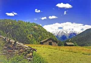 Shelter, summer, Alpine foothills