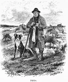 Shepherd, Mecklenburg-Western Pomerania