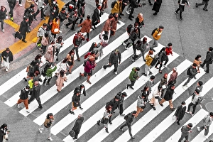 Shibuya crossing, crowds at intersection