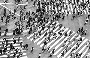 Shibuya crossing, crowds at intersection