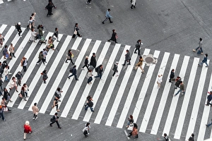 Shibuya crossing, crowds at intersection