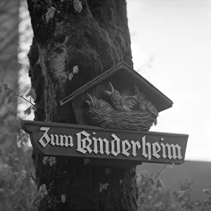 Shield with carved young birds in a nest