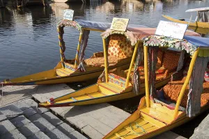 Shikara boats at bank of dal lake