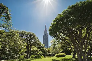 Shinjuku's Docomo tower overlooking the lake