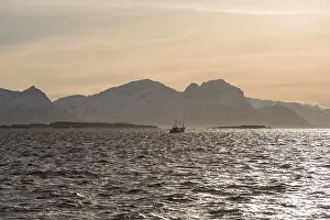 Ship, backlit, Lofoten, Norway, Europe