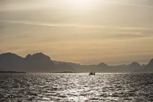 Ship, backlit, Lofoten, Norway, Europe