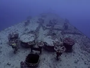 Category Coral Reefs DE Prints: A ship deck covered with coral lies in the sea