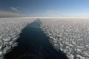 Shipping channel through ice floes