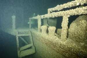 A shipwreck covered with quagga triangle mussels (Dreissena rostriformis bugensis)