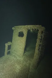 Shipwreck covered with quagga triangle mussels (Dreissena rostriformis bugensis)