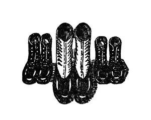 Shoes, historical illustration from: Emmi Conradi-Stahl: Wie Gritli haushalten lernt