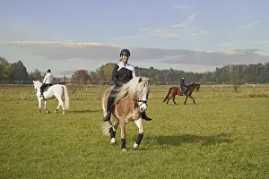 Shooting with horses, white horse