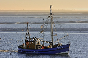 Shrimp boat on the Wadden Sea in front of Norderney