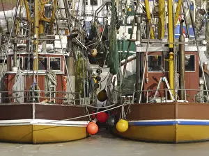 The shrimp boats of Greetsiel are trapped by the ice