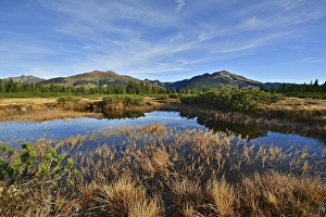 Category Mountain Landscapes Prints: Sieben Moeser, oligotrophic bog