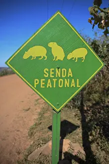 Sign Beware of Capybaras (Hydrochoerus hydrochaeris)