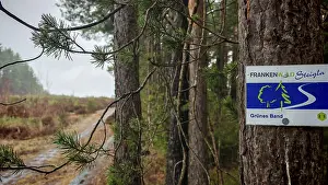 A sign on the Frankenwaldsteigla on a tree marks a hiking trail in the forest