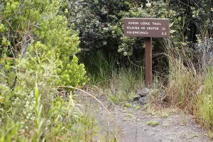 Signpost indicating distances, Halemaumau Trail