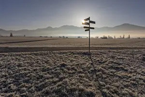 Signpost, signpost, hoarfrost, sun