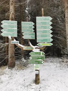 Signpost tree with lots of signs on the Rennsteig in the snowy forest