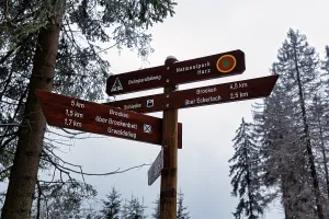 Signposts for hiking trails in the forest
