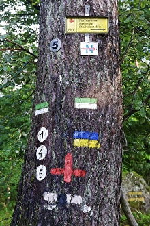Signposts, signs for hiking trails in the Palatinate Forest Nature Park