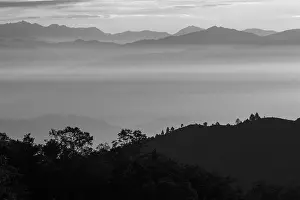 Silhouettes of Himalayan mountain ridges above the clouds in the valleys and some trees in the foreground
